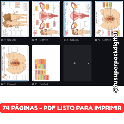KIT CUERPO HUMANO