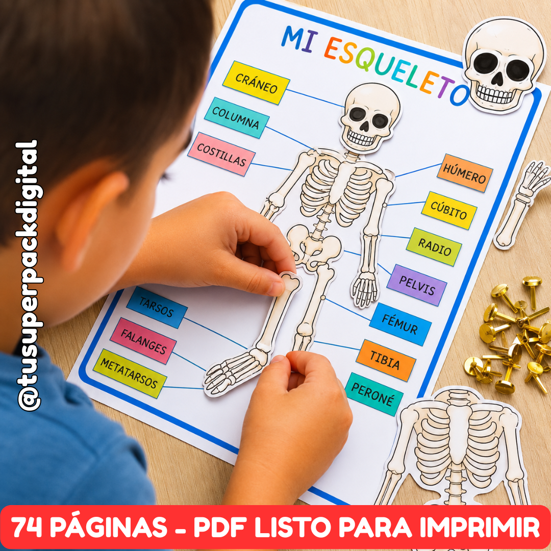 KIT CUERPO HUMANO