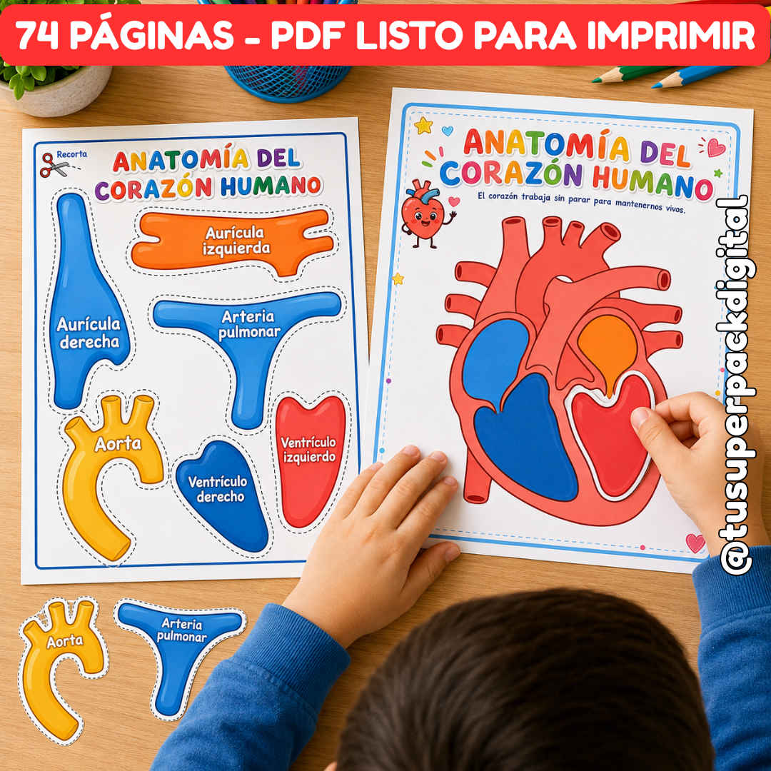 KIT CUERPO HUMANO