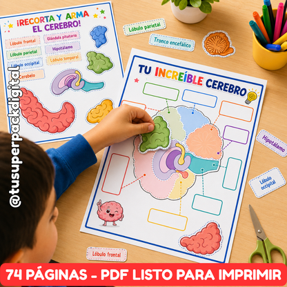 KIT CUERPO HUMANO
