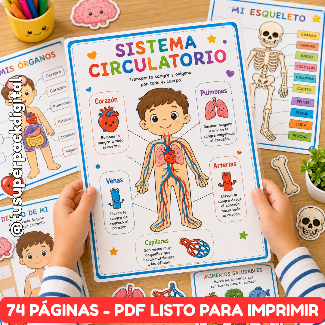 KIT CUERPO HUMANO