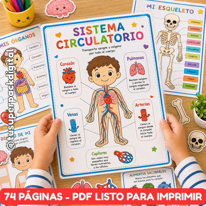 KIT CUERPO HUMANO