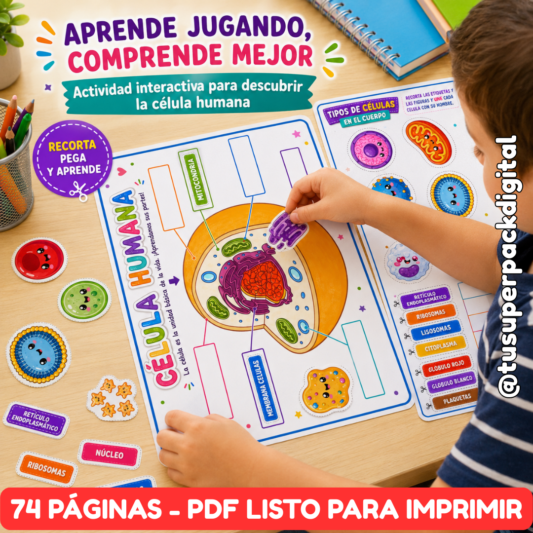 KIT CUERPO HUMANO