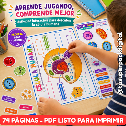 KIT CUERPO HUMANO