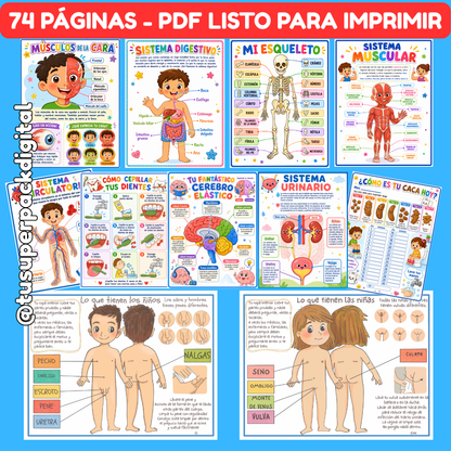 KIT CUERPO HUMANO