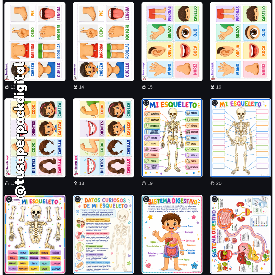 KIT CUERPO HUMANO