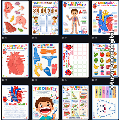 KIT CUERPO HUMANO